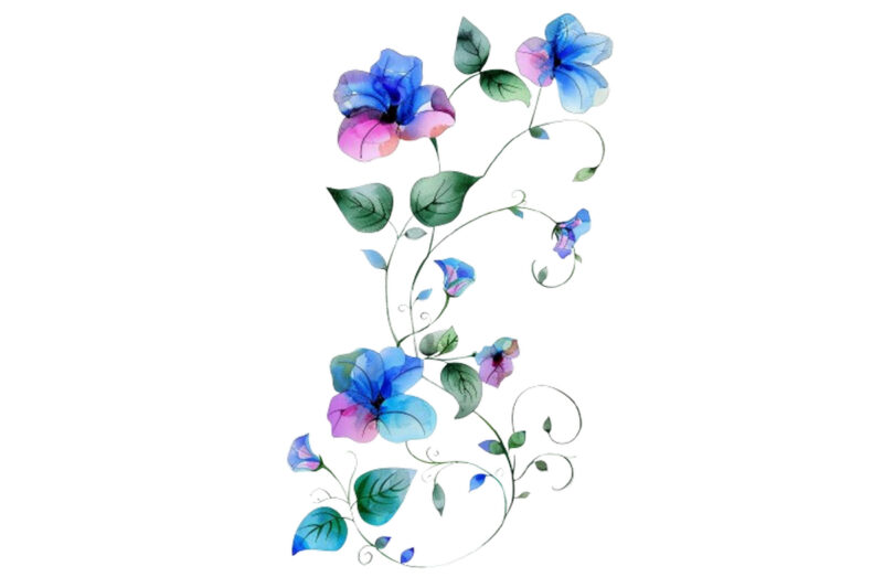 watercolor flower vine clipar