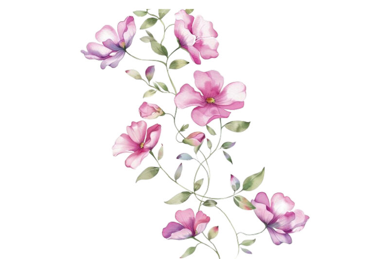 watercolor flower vine clipar