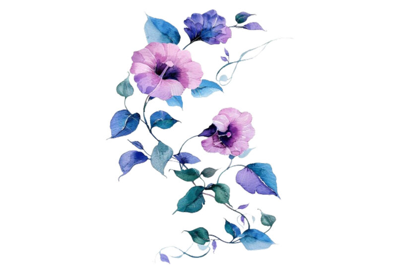 watercolor flower vine clipar