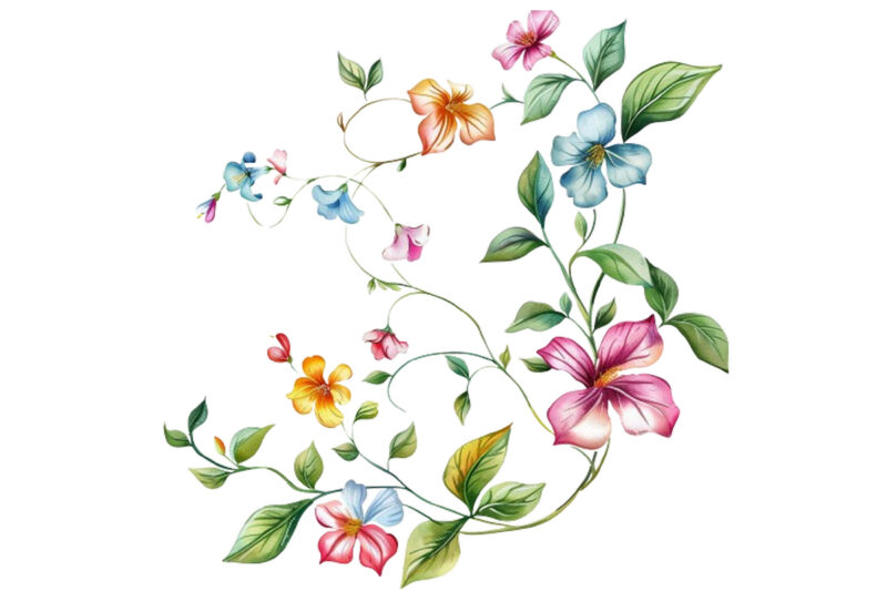 watercolor flower vine clipar