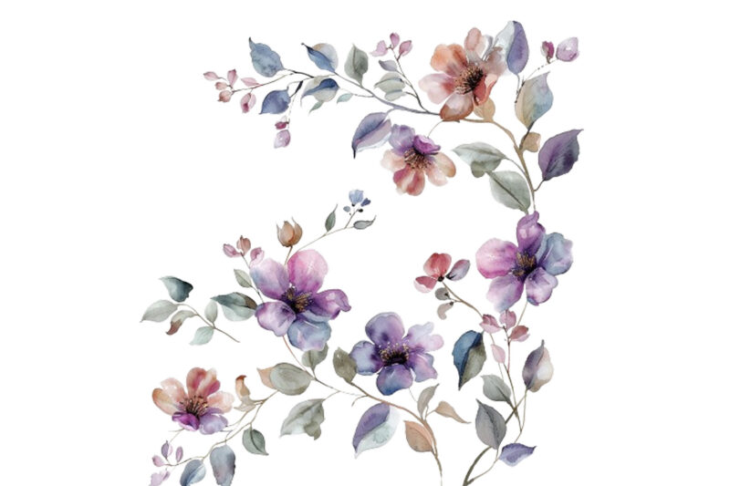 watercolor flower vine clipar