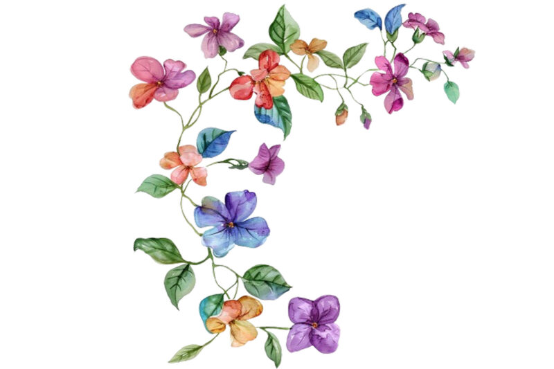 watercolor flower vine clipar