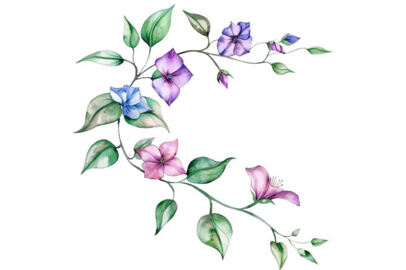 watercolor flower vine clipar