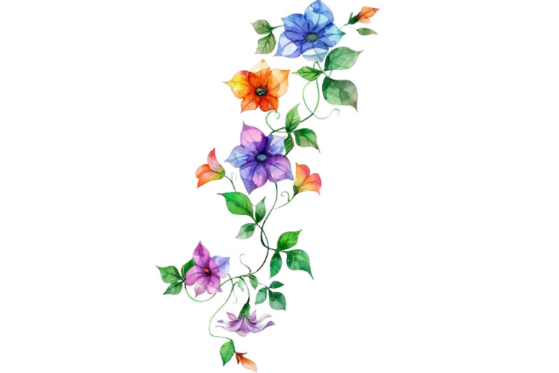 watercolor flower vine clipar