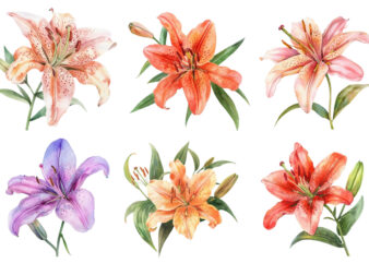 watercolor lily clipart t shirt design for sale