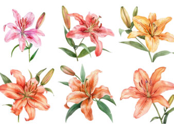 watercolor lily clipart t shirt design for sale