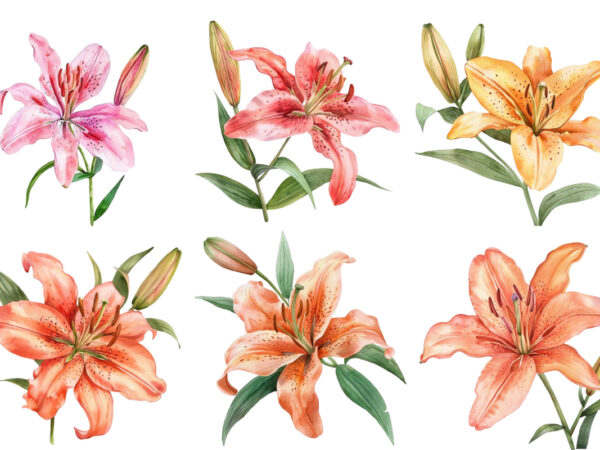 Watercolor lily clipart t shirt design for sale