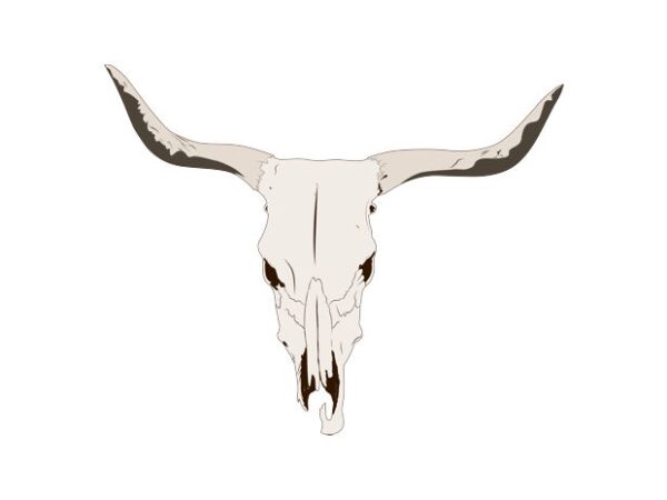 Bull skull t shirt template