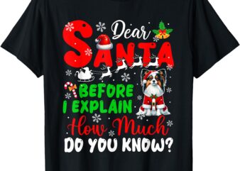 Before I Explain How Much You Know Xmas Papillon Owner Lover T-Shirt