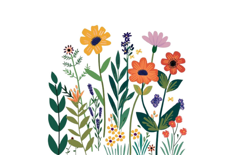 Flower Svg Wildflower Flowers