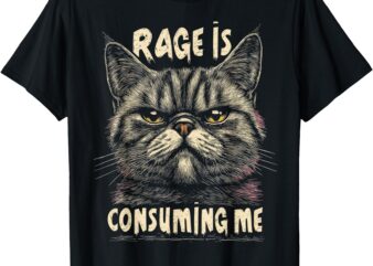 Funny Graphic Tee Women Men Rage Is Consuming Me Cat Meme T-Shirt