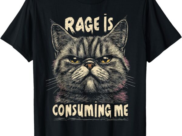 Funny graphic tee women men rage is consuming me cat meme t-shirt