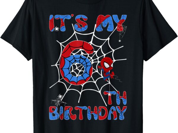 Kids it’s my 6th birthday spider web 6 year old boys t-shirt