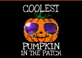 Coolest Pumpkin In The Patch Halloween PNG