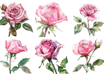 Watercolor Pink Rose Clipart t shirt design for sale