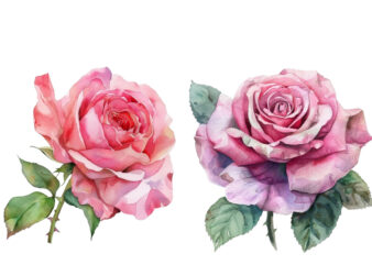 Watercolor Spring Pink Rose Clipart