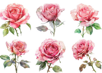 Watercolor Spring Pink Rose Clipart