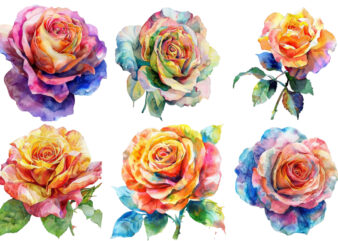 Watercolor Spring Rose Clipart