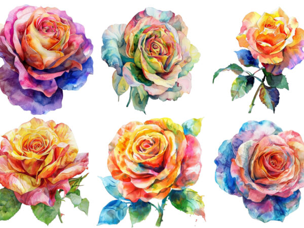 Watercolor spring rose clipart t shirt design for sale