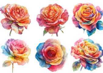 Watercolor Spring Rose Clipart