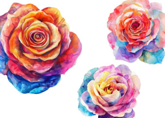 Watercolor Spring Rose Clipart