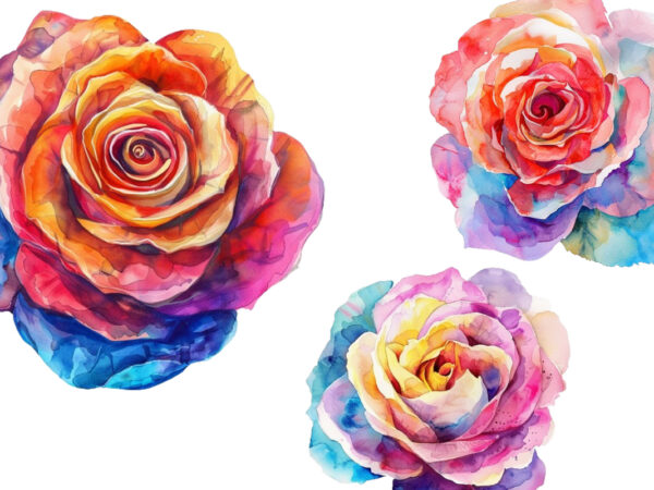 Watercolor spring rose clipart t shirt design for sale