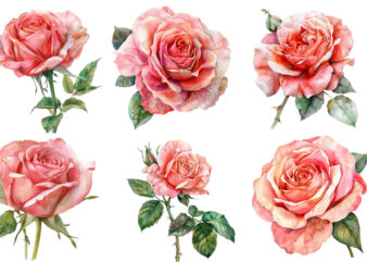 Watercolor Spring Rose Clipart