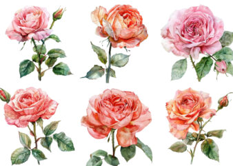 Watercolor Spring Rose Clipart t shirt design for sale