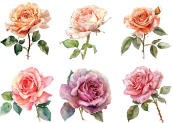 Watercolor Spring Rose Clipart