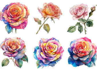 Watercolor Spring Rose Clipart t shirt design for sale