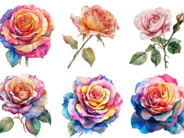 Watercolor spring rose clipart t shirt design for sale