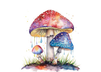 watercolor mashroom clipart t shirt design for sale