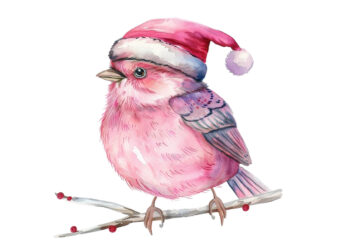 watercolor pink Christmas cartoon bird