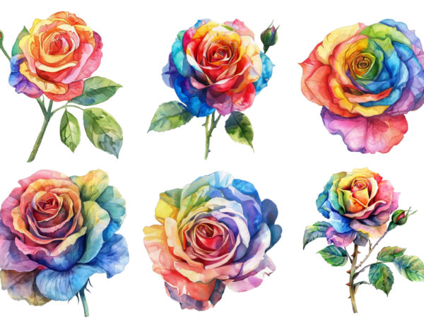 Watercolor rainbow rose clipart t shirt design for sale