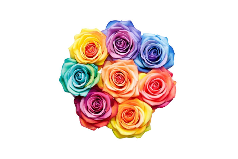 watercolor rainbow spirin roses clipart