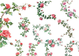 watercolor rose vine clipart t shirt design for sale