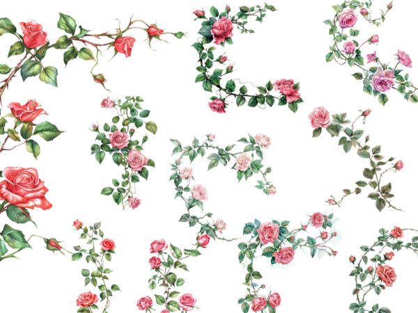 Watercolor rose vine clipart t shirt design for sale