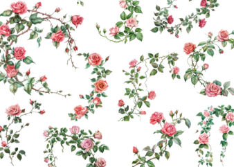 watercolor rose vine clipart t shirt design for sale