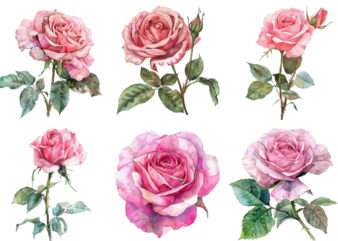 watercolor spiring pink rose clipart