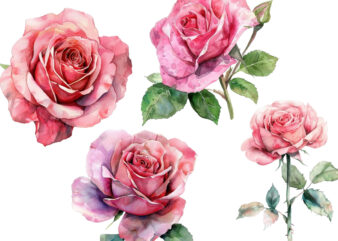 watercolor spiring pink rose clipart t shirt design for sale