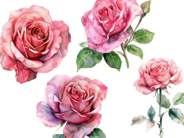 Watercolor spiring pink rose clipart t shirt design for sale