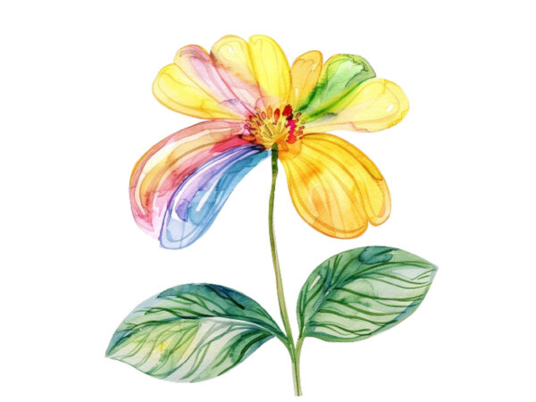 Watercolor spring flower with rainbow clipart t shirt design for sale