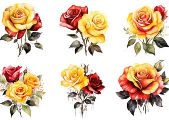 watercolor yellow white red and black rose clipart