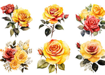 watercolor yellow white red and black rose clipart