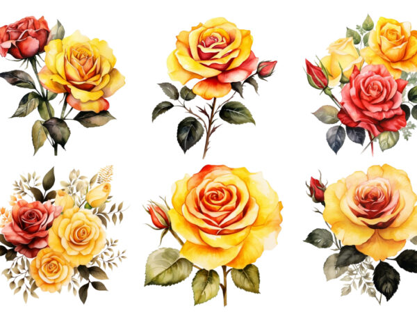 Watercolor yellow white red and black rose clipart t shirt design for sale