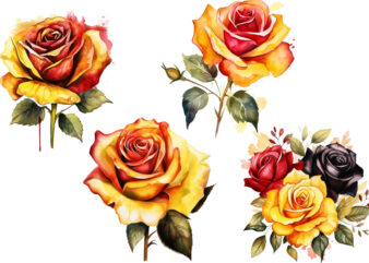 watercolor yellow white red and black rose clipart