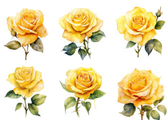 watercolor yellow white red and black rose clipart