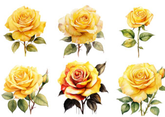 watercolor yellow white red and black rose clipart