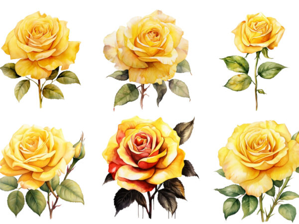 Watercolor yellow white red and black rose clipart t shirt design for sale