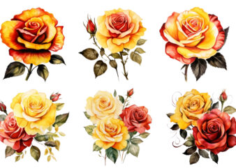 watercolor yellow white red and black rose clipart